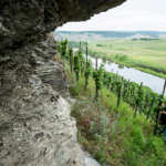 vineyards from within rockface