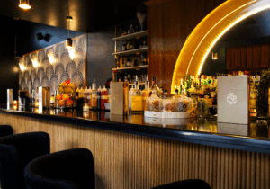 Bar at Bird's Nest at Blackbird