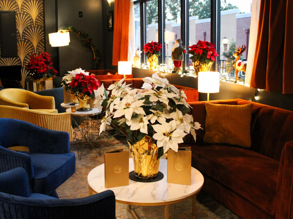 Bird's Nest at Blackbird at Christmas