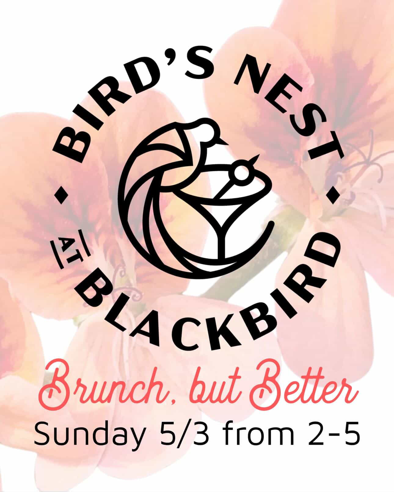 Circular logo with a cocktail glass and nest motif, surrounded by the words 'Bird's Nest Blackbird' over a pink floral background.